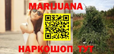 прущие крисы Изобильный